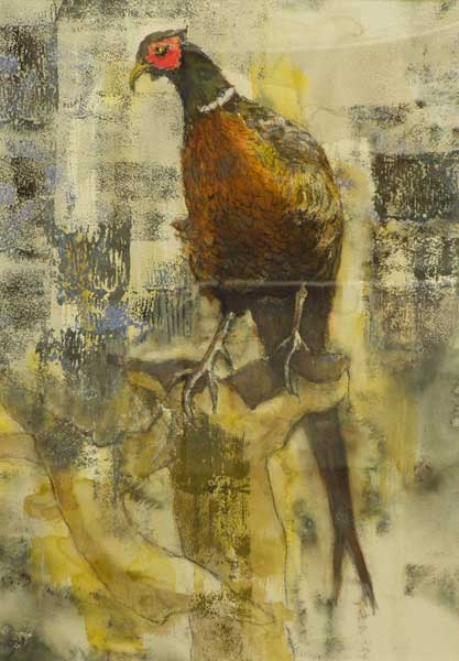 2013年4月　第61回光陽展　新人奨励賞：太田 幸子　雉子　（水彩）　F20