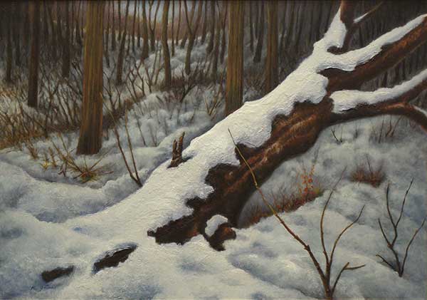 2014年4月　第62回光陽展　新人奨励賞　後藤 和徳　[一般 ]　雪化粧　（油彩） 変60