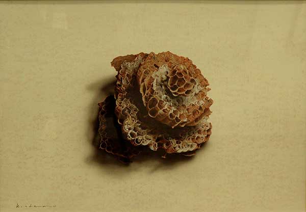 2015年4月　第63回光陽展　花野 均　[ 一般 ]　蜂の巣　（水彩） F10