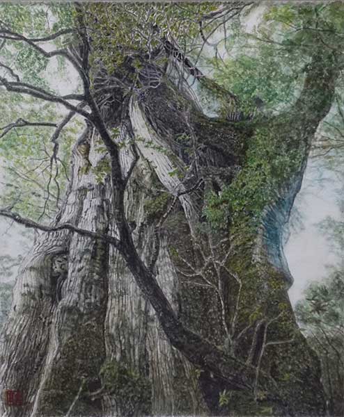 2018年4月　第66回光陽展　小品優秀賞　市川 義耿　[小品部門]　　紀元杉　（水彩）F8