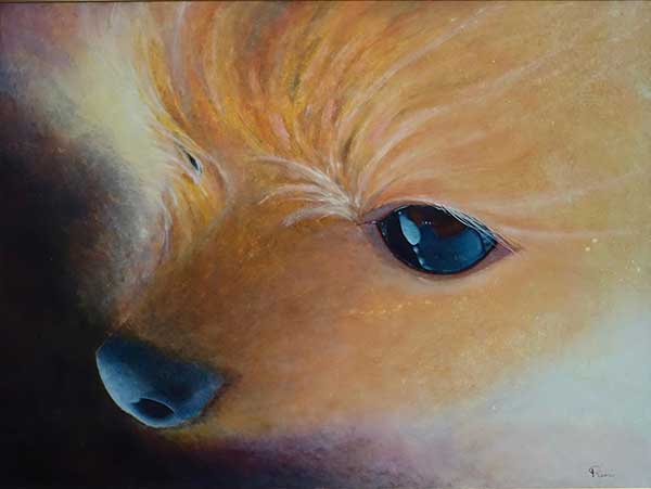 2019年4月　第67回光陽展　会友秀作賞　小笠原 るり子　[ 会友 ]　ミリーへ　（油） F80