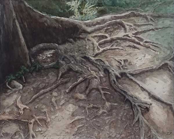 2019年4月　第67回光陽展　小品努力賞　古本 毅　[小品部門]　　遊歩道の根っ子　（水彩）F8