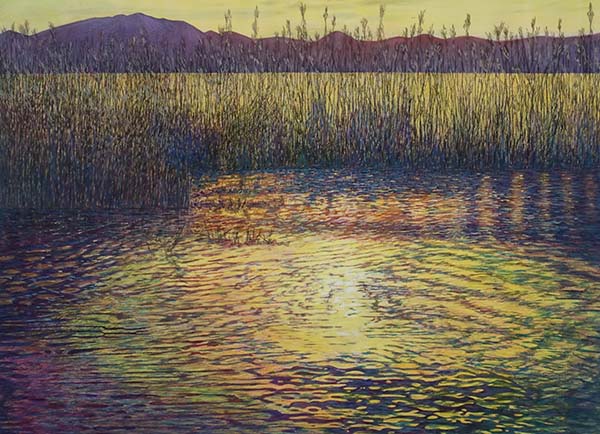 2020年4月　第68回 光陽展　一般　加隈 幸恵　（ｶｸﾏ ﾕｷｴ）　　夕日に染まる　（水）　変50
